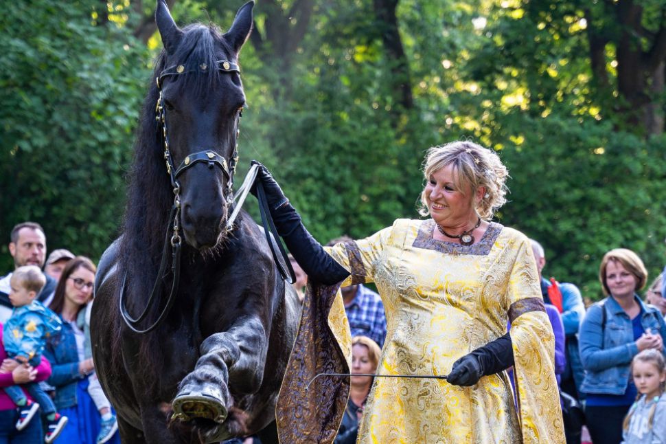 Barokn&iacute; radosti